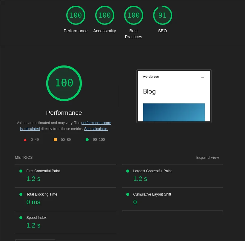 Lighthouse mobile results for WordPress: performance 100, accessibility 100, best practices 100, SEO 91; first contentful paint 1.2 seconds, largest contentful paint 1.2 seconds, total blocking time 0 milliseconds, cumulative layout shift 0, speed index 1.2 seconds